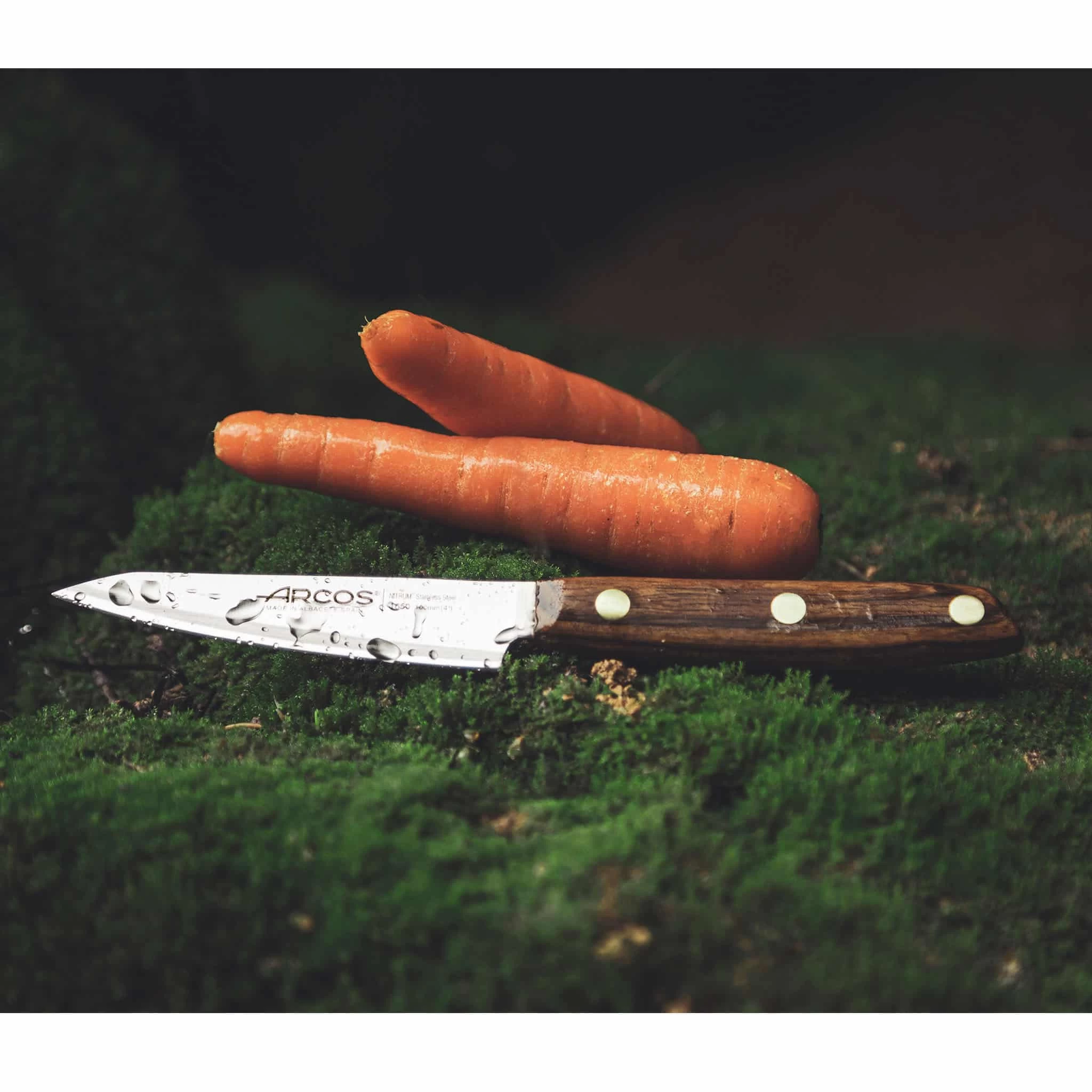 Arcos Nordika Paring Knife 10cm 2 Arcos Nordika Paring Knife 10cm - Image 2