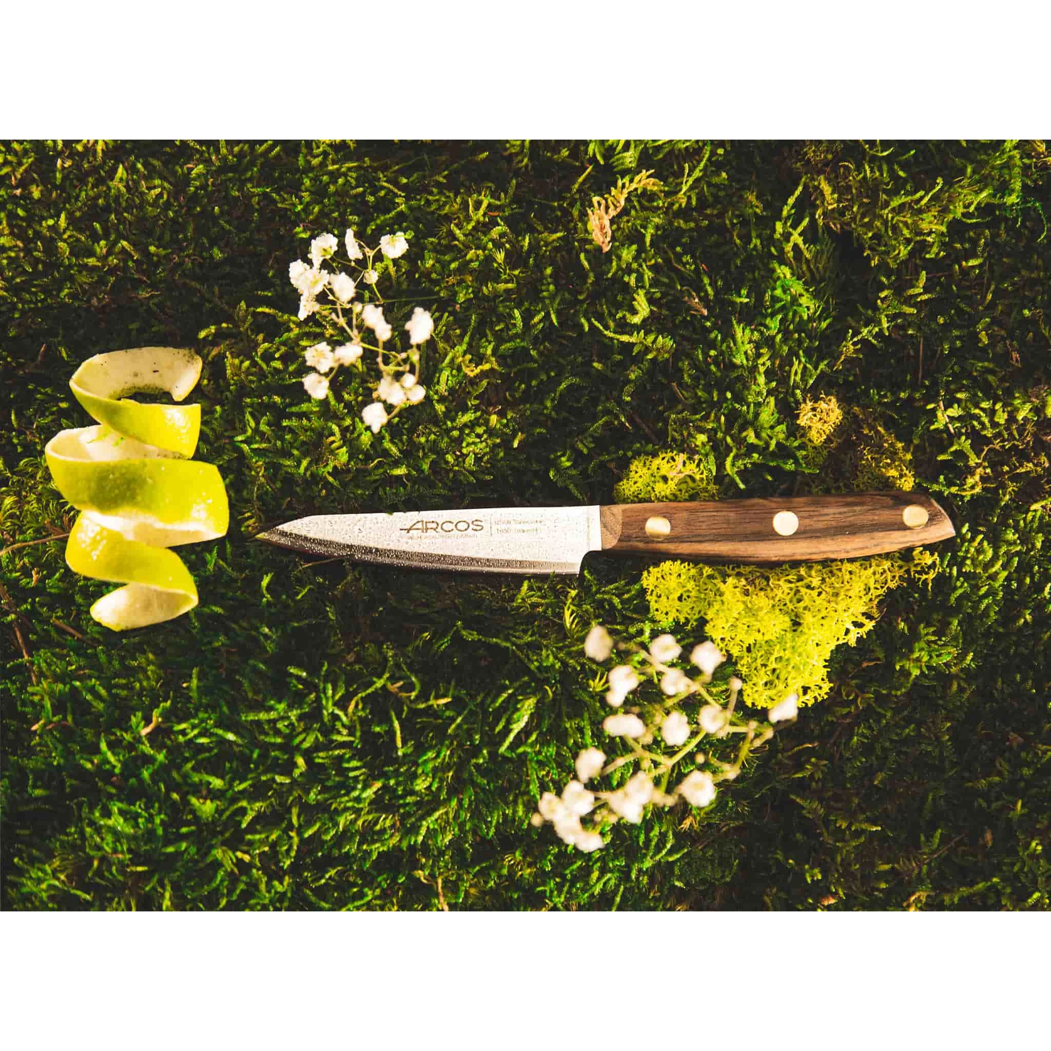 Arcos Nordika Paring Knife 10cm 3 Arcos Nordika Paring Knife 10cm - Image 3