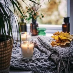 Aery Bonsai Tree Candle, 200g 6 Aery Bonsai Tree Candle, 200g -Sous Chef Kitchenware AY0001Life3