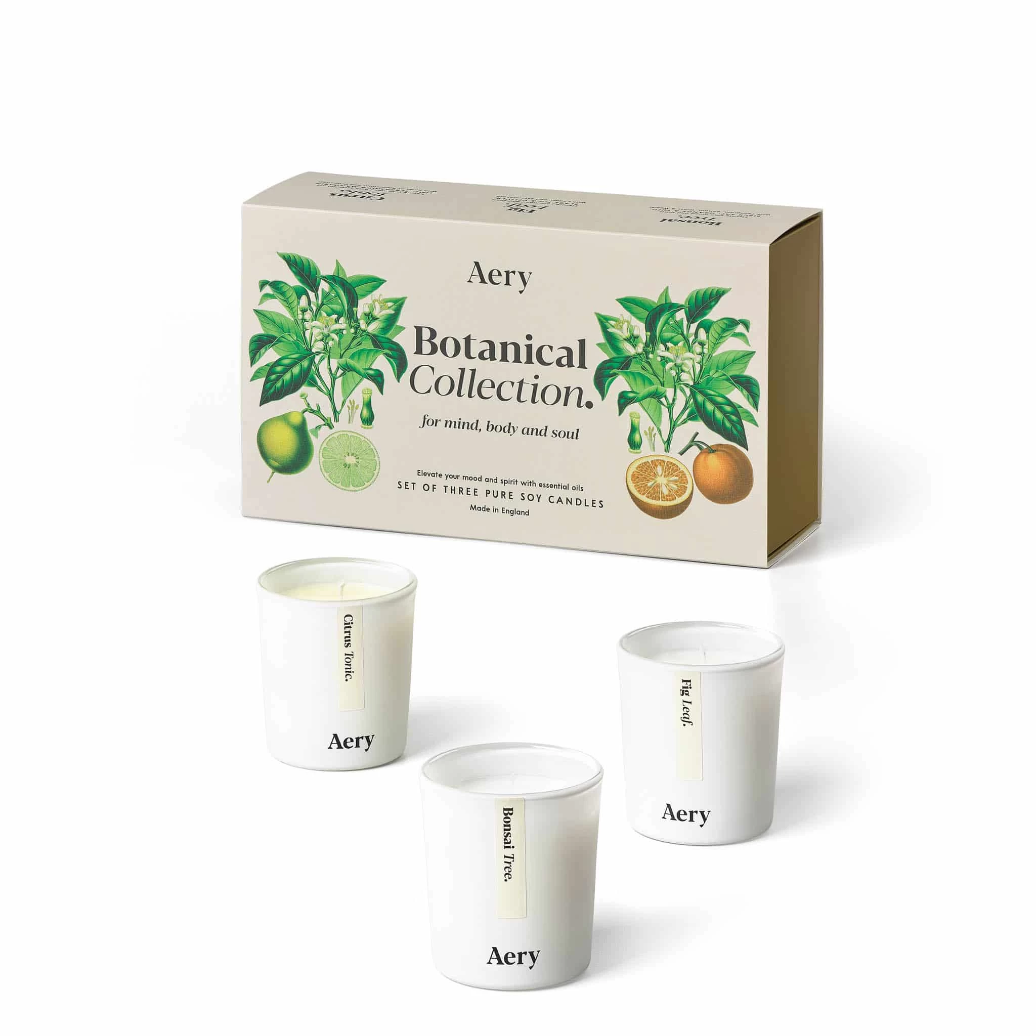 Aery Botanical Candle Gift Trio 1 Aery Botanical Candle Gift Trio
