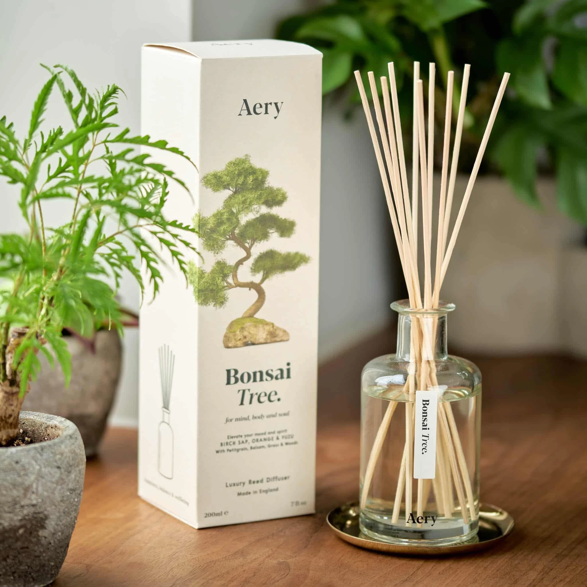 Aery Bonsai Tree Diffuser, 200ml 2 Aery Bonsai Tree Diffuser, 200ml - Image 2