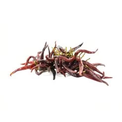 Guindilla Pepper Ristra - String Of 50 5 Guindilla Pepper Ristra - String Of 50 -Sous Chef Kitchenware BD0026 GuindillaPepperRistra Stringof50