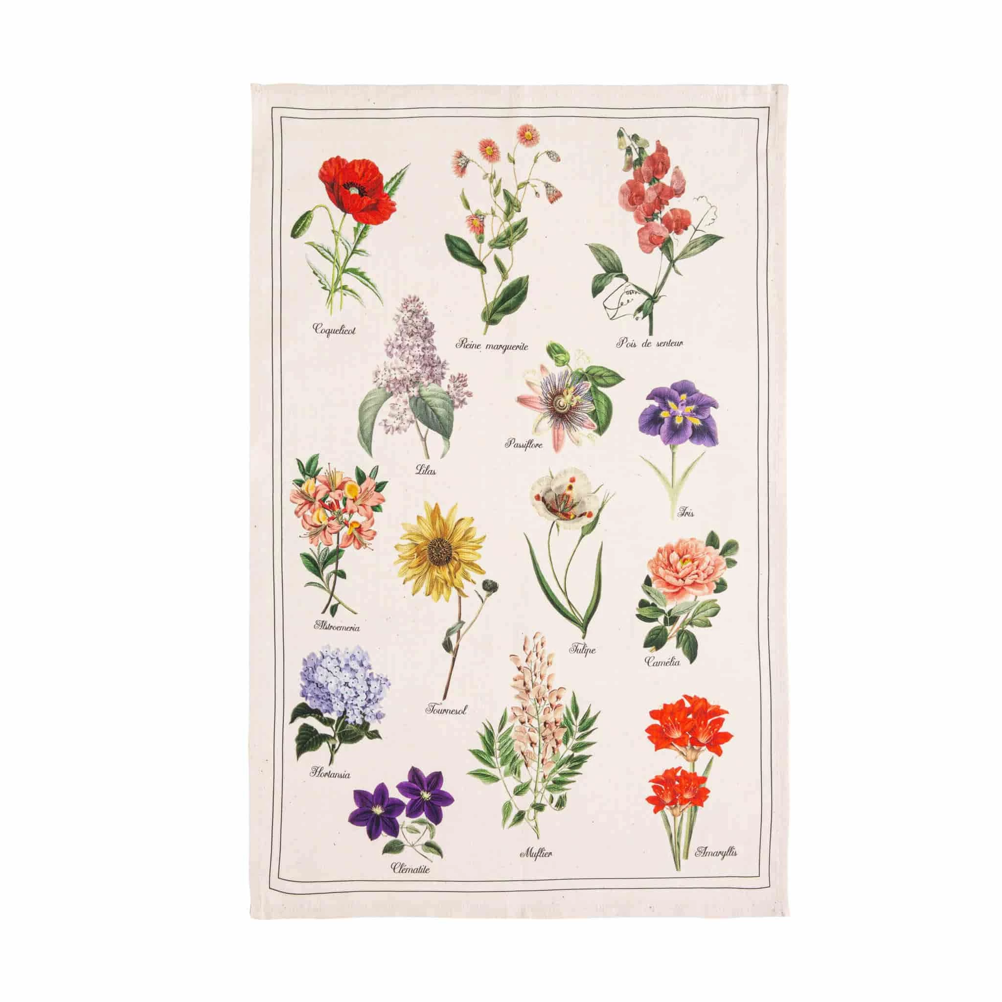 French Tea Towel - Herbier 1 French Tea Towel - Herbier