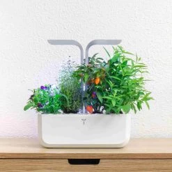 Veritable Classic Indoor Herb Garden 10 Veritable Classic Indoor Herb Garden -Sous Chef Kitchenware HU0007VeritableClassicIndoorHerbGardenlifestyle2