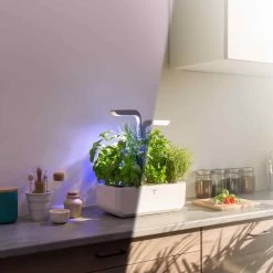 Veritable Classic Indoor Herb Garden 9 Veritable Classic Indoor Herb Garden -Sous Chef Kitchenware HU0007VeritableClassicIndoorHerbGardenlifestyle3