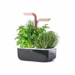 Veritable Classic Smart Indoor Herb Garden, Black & Copper