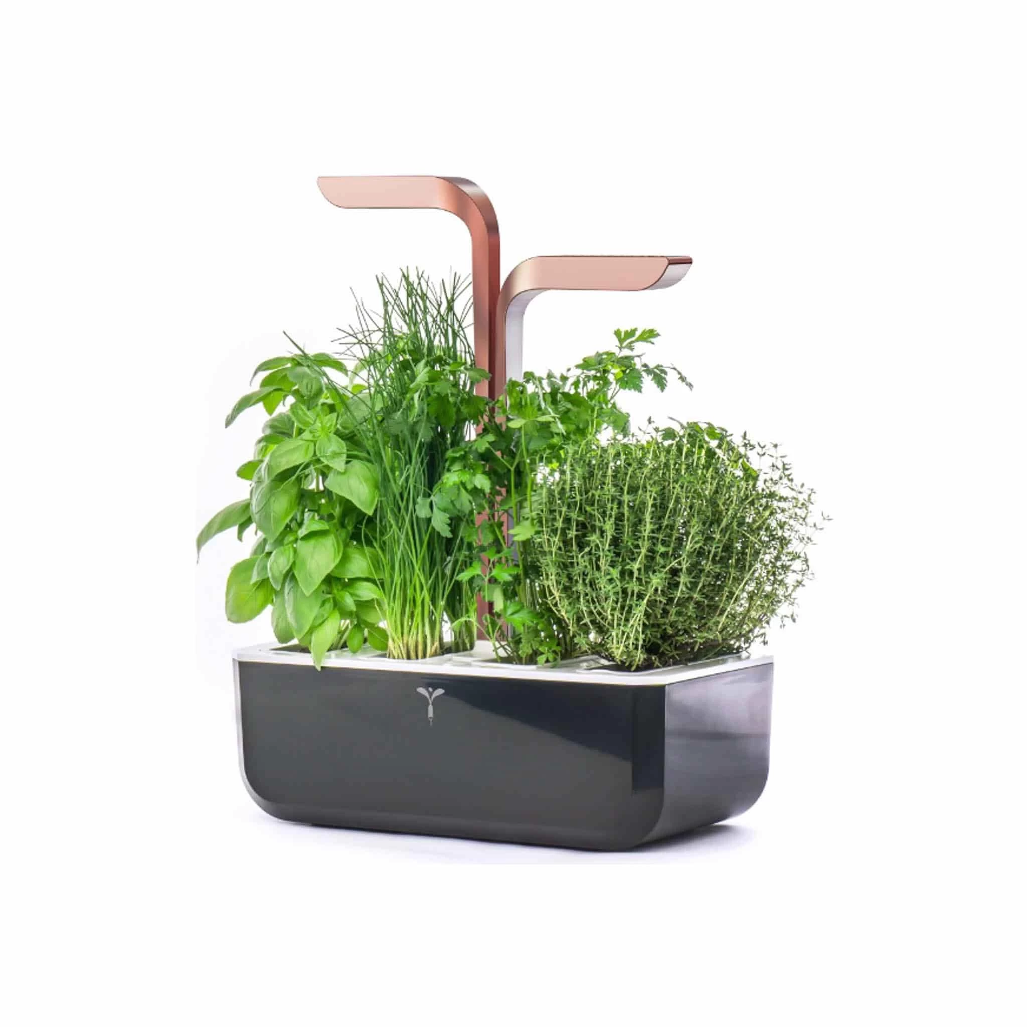 Veritable Classic Smart Indoor Herb Garden, Black & Copper 1 Veritable Classic Smart Indoor Herb Garden, Black & Copper