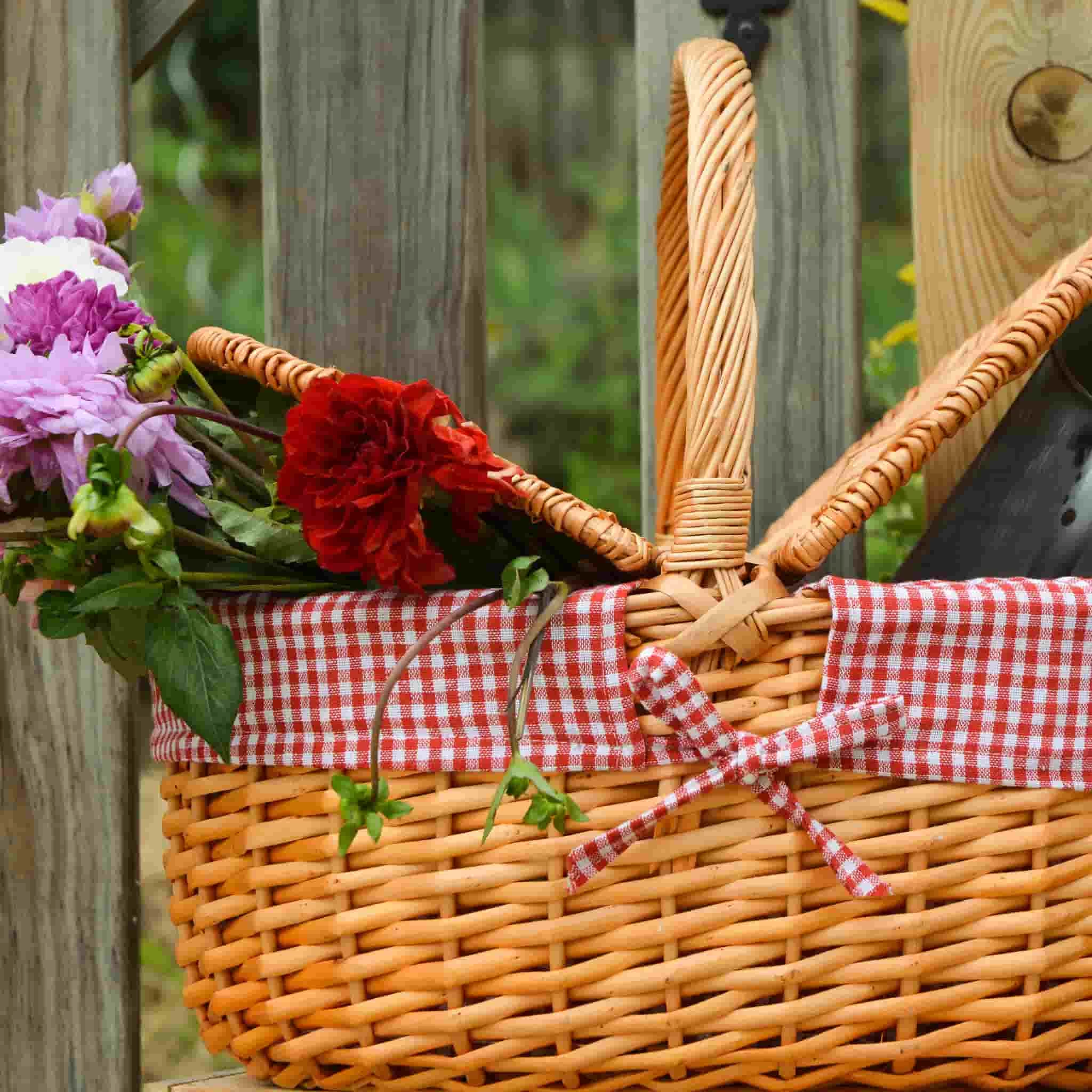 Campagne Red Gingham Empty Picnic Basket 2 Campagne Red Gingham Empty Picnic Basket - Image 2