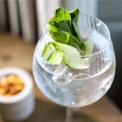 Set Of 2 Ribbed Gin Coupe Glass 550ml 10 Set Of 2 Ribbed Gin Coupe Glass 550ml -Sous Chef Kitchenware KI0083 RibbedGinCoupe550mlSetof2 lifestyle3