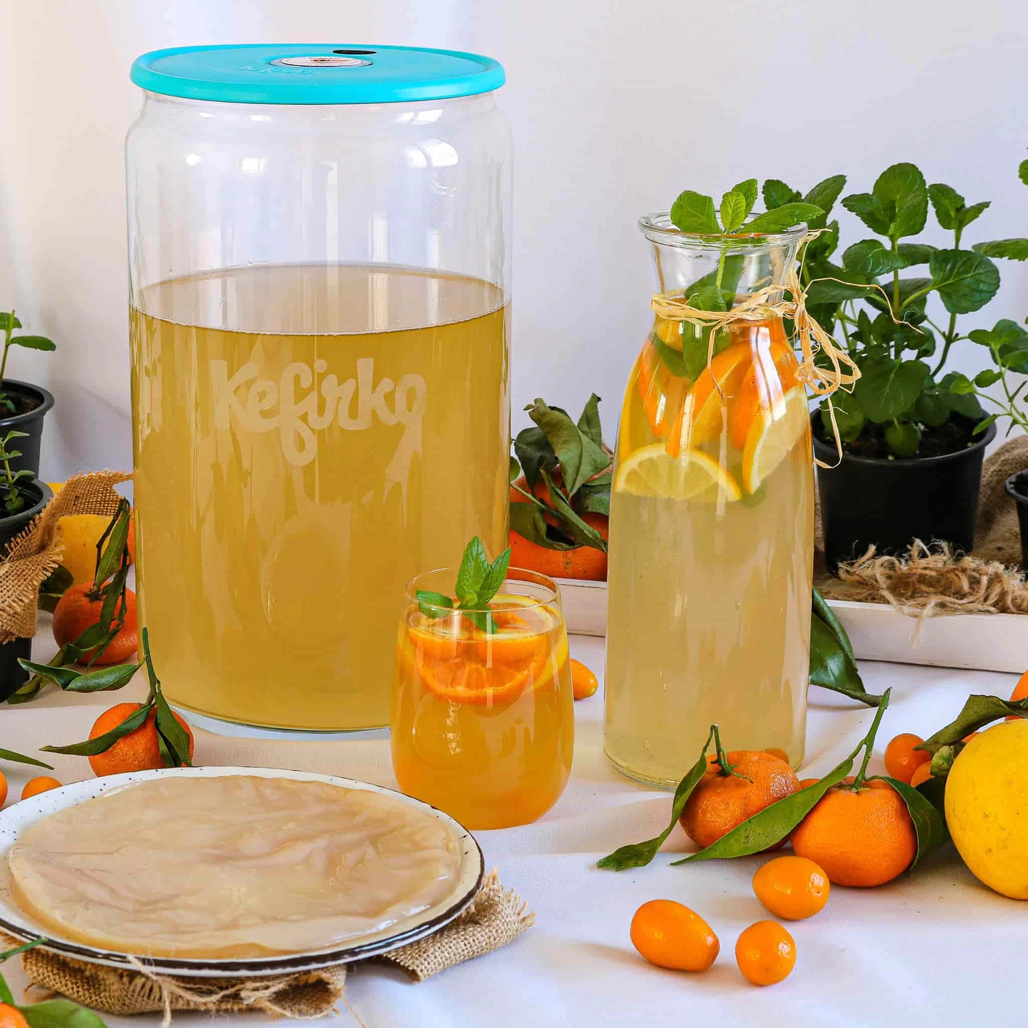 Kefirko Blue Kombucha Glass Fermenter, 7L 2 Kefirko Blue Kombucha Glass Fermenter, 7L - Image 2