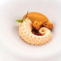 Silikomart Polpo Professional Food Mould 5 Silikomart Polpo Professional Food Mould -Sous Chef Kitchenware SL0166SilikomartPolpoProfessionalFoodMould