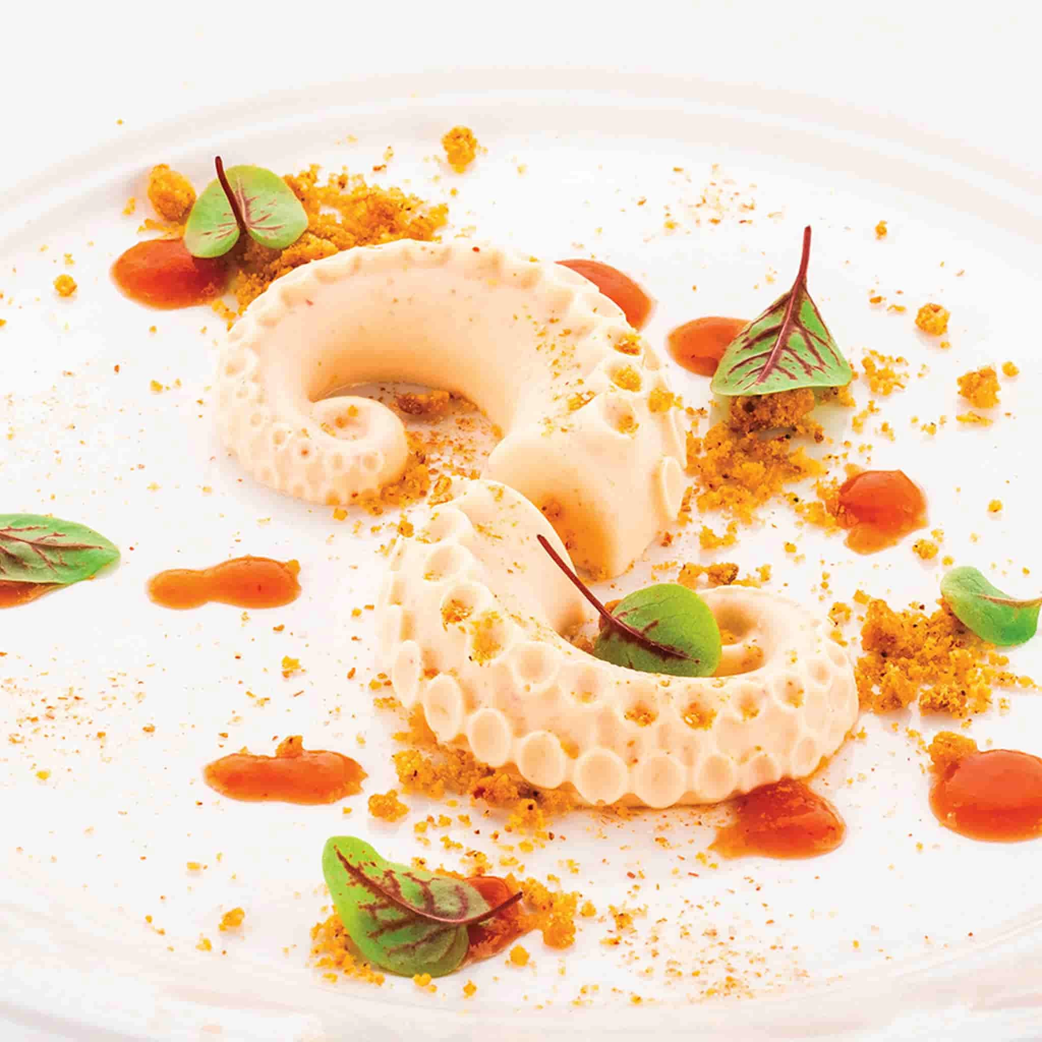 Silikomart Polpo Professional Food Mould 2 Silikomart Polpo Professional Food Mould - Image 2