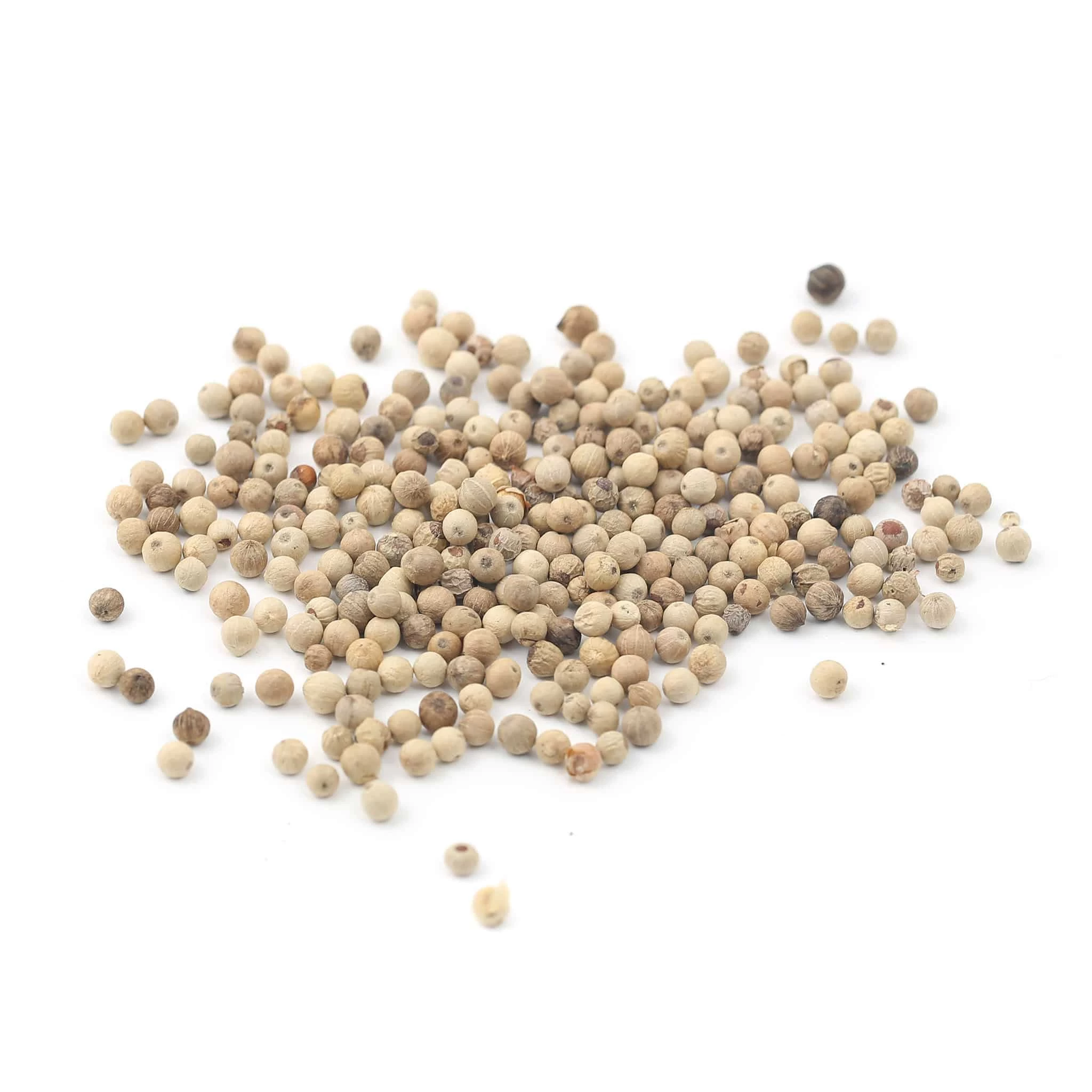 Terre Exotique White Sarawak Pepper IGP 1kg 2 Terre Exotique White Sarawak Pepper IGP 1kg - Image 2