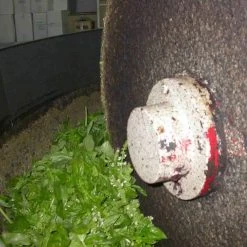 Galantino Puglian Olive Oil With Basil In Terracotta Bottle 250ml 13 Galantino Puglian Olive Oil With Basil In Terracotta Bottle 250ml -Sous Chef Kitchenware basil2