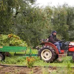 Galantino Puglian Olive Oil With Chilli In Terracotta Bottle 250ml 14 Galantino Puglian Olive Oil With Chilli In Terracotta Bottle 250ml -Sous Chef Kitchenware chillioliveoil2