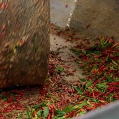 Galantino Puglian Olive Oil With Chilli In Terracotta Bottle 250ml 17 Galantino Puglian Olive Oil With Chilli In Terracotta Bottle 250ml -Sous Chef Kitchenware chillioliveoil5