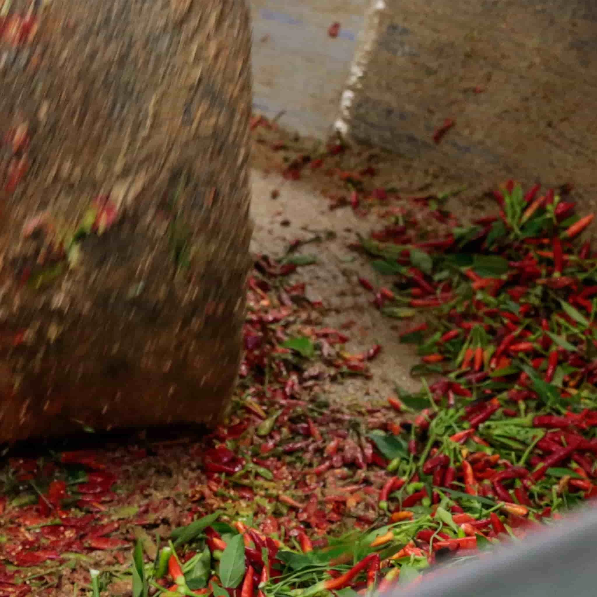 Galantino Puglian Olive Oil With Chilli In Terracotta Bottle 250ml 8 Galantino Puglian Olive Oil With Chilli In Terracotta Bottle 250ml - Image 8