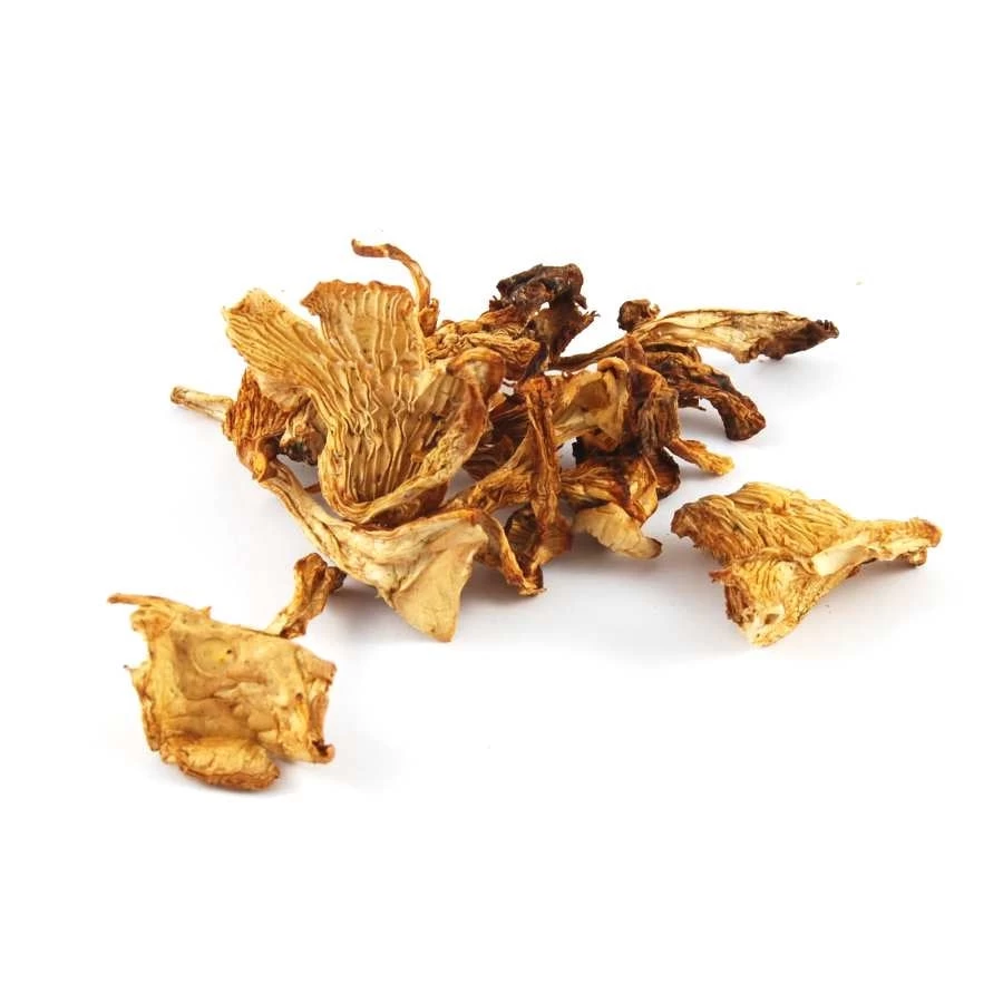 Girolle Mushrooms 500g 2 Girolle Mushrooms 500g - Image 2