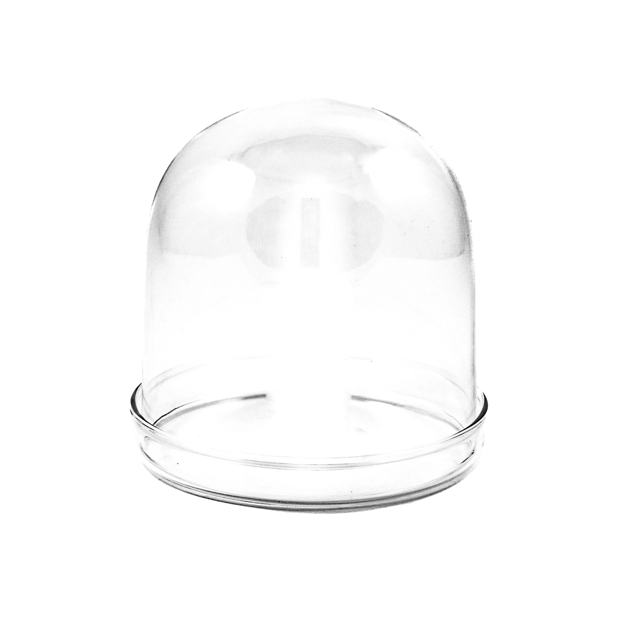 2 X Large Domed Glass Cloche - 11cm Dia 1 2 X Large Domed Glass Cloche - 11cm Dia